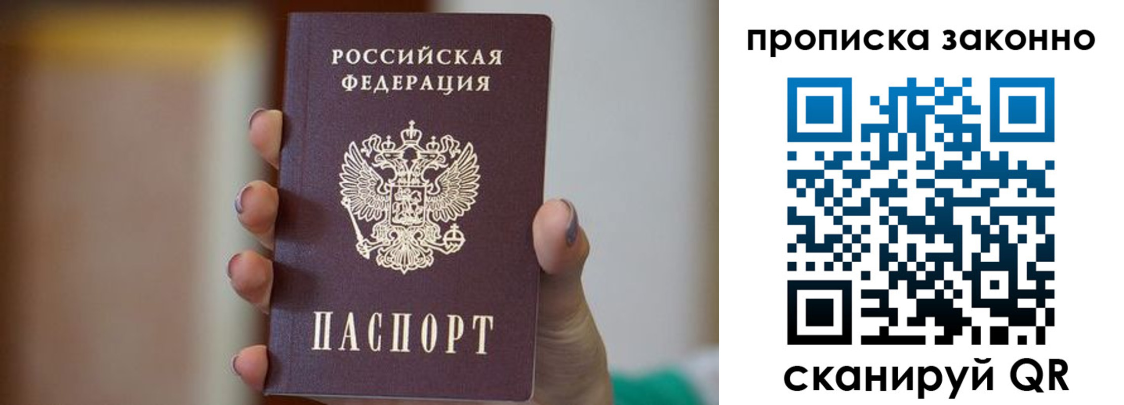 прописка в Фрязино