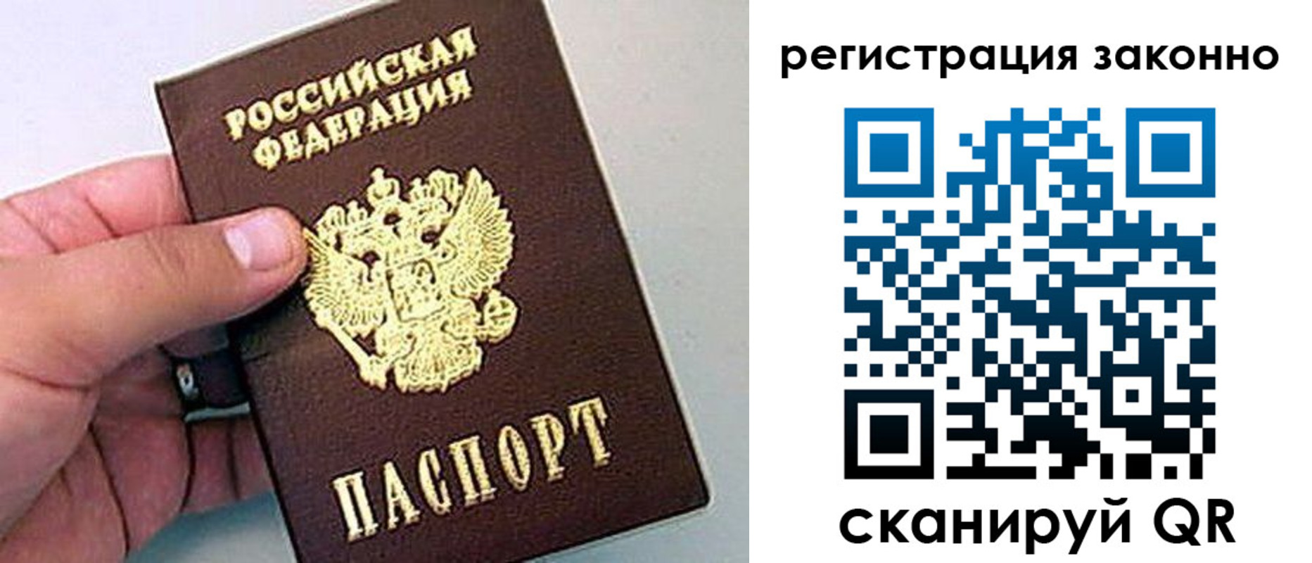прописка ребенка в Фрязино